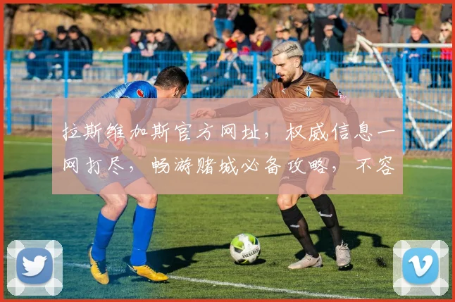 拉斯维加斯官方网址，权威信息一网打尽，畅游赌城必备攻略，不容错过