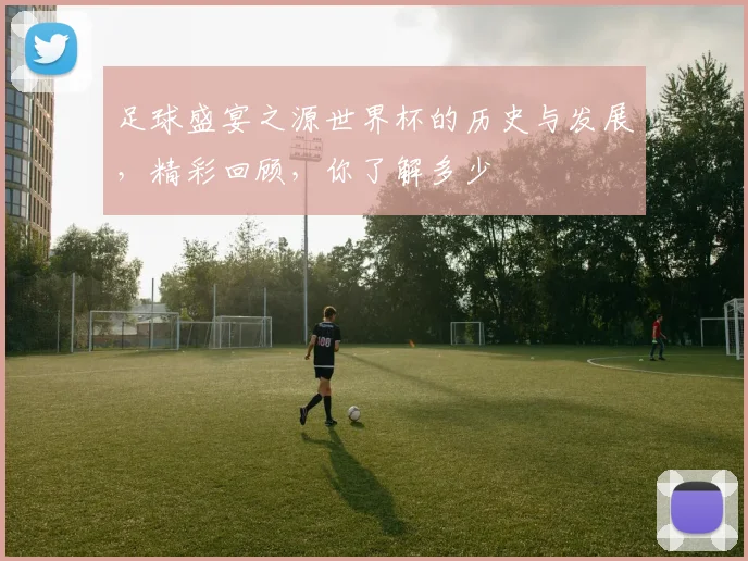足球盛宴之源世界杯的历史与发展，精彩回顾，你了解多少