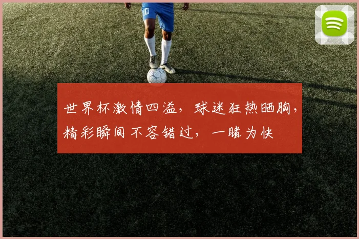 世界杯激情四溢，球迷狂热晒胸，精彩瞬间不容错过，一睹为快