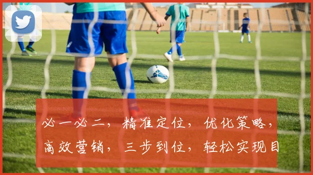 必一必二，精准定位，优化策略，高效营销，三步到位，轻松实现目标